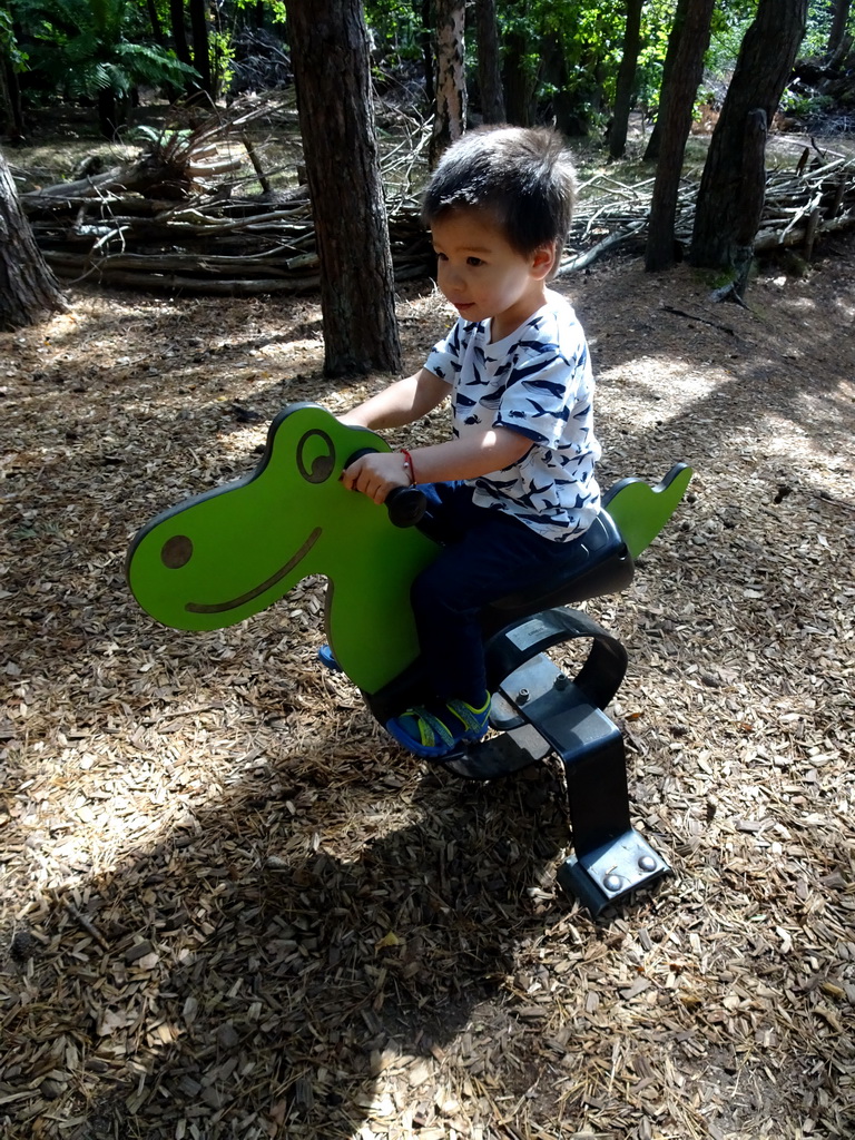 Max on a Dinosaur spring rider at the DinoPark at the DierenPark Amersfoort zoo