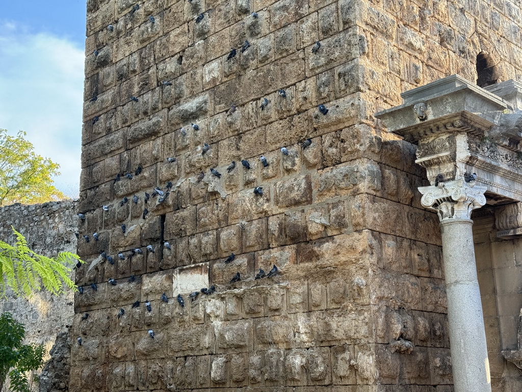 Pigeons at the southeast facade of Hadrian`s Gate at the Atatürk Caddesi street