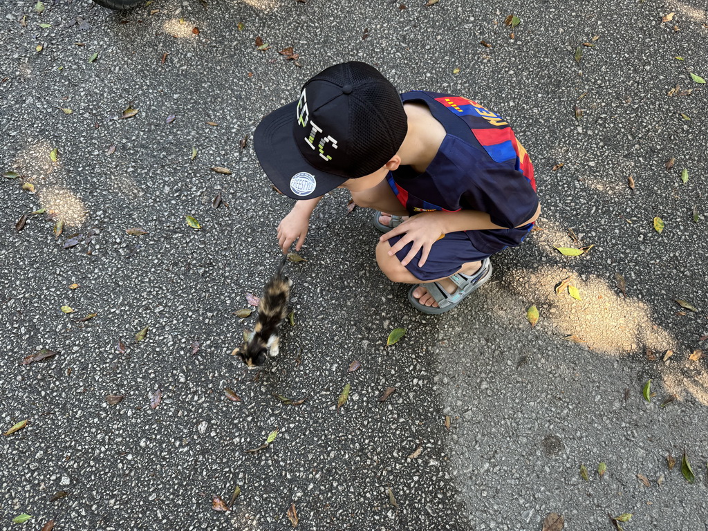 Max with a kitten at the Atatürk Kültür Park