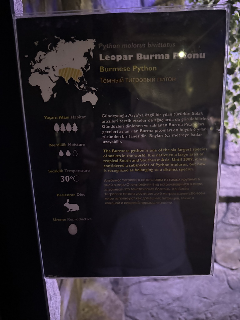 Explanation on the Burmese Python at the WildPark Antalya at the Antalya Aquarium