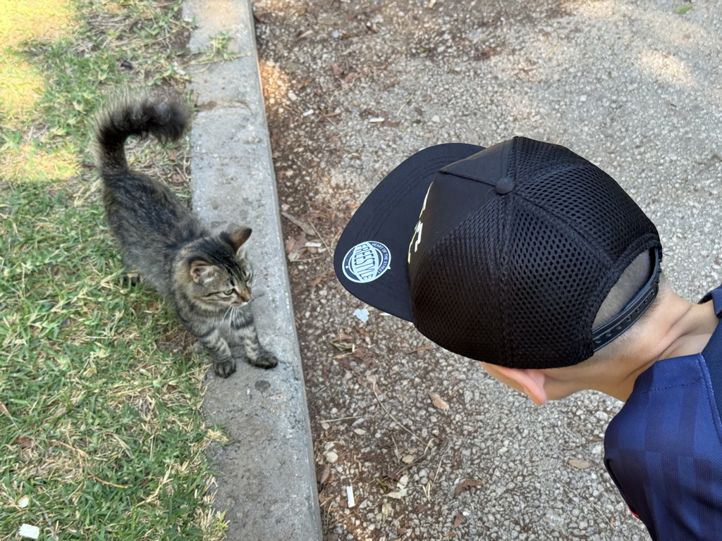 Max with a cat at the Atatürk Kültür Park