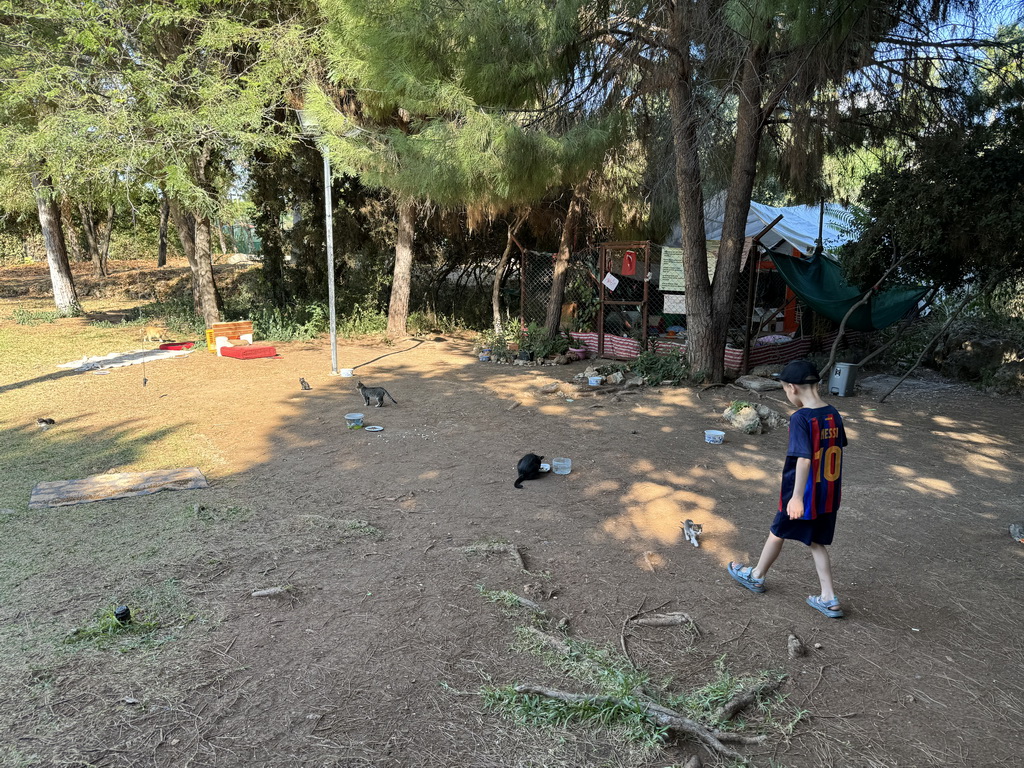 Max with cats and kittens at the Cat Shelter at the Atatürk Kültür Park