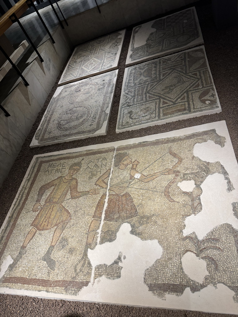 Mosaics on the floor of the Mosaic Hall at the ground floor of the Antalya Archeology Museum