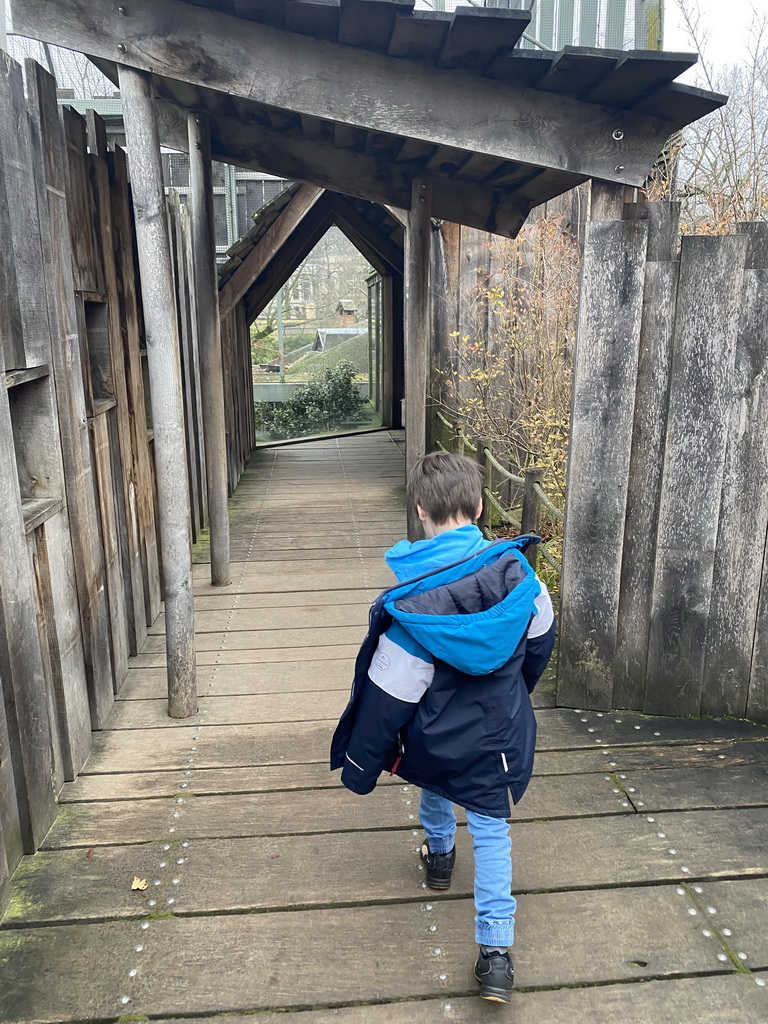 Max on the platform above the Hippotopia building at the Antwerp Zoo