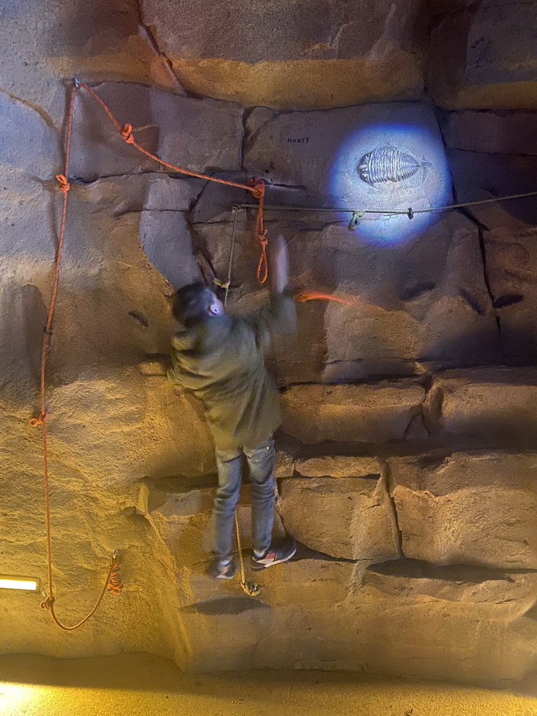 Max climbing to a fossil at the Kitum Cave at Antwerp Zoo