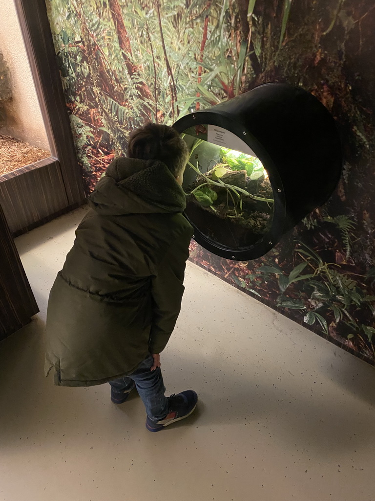 Max with a Millipede at the Reptile House at the Antwerp Zoo, with explanation