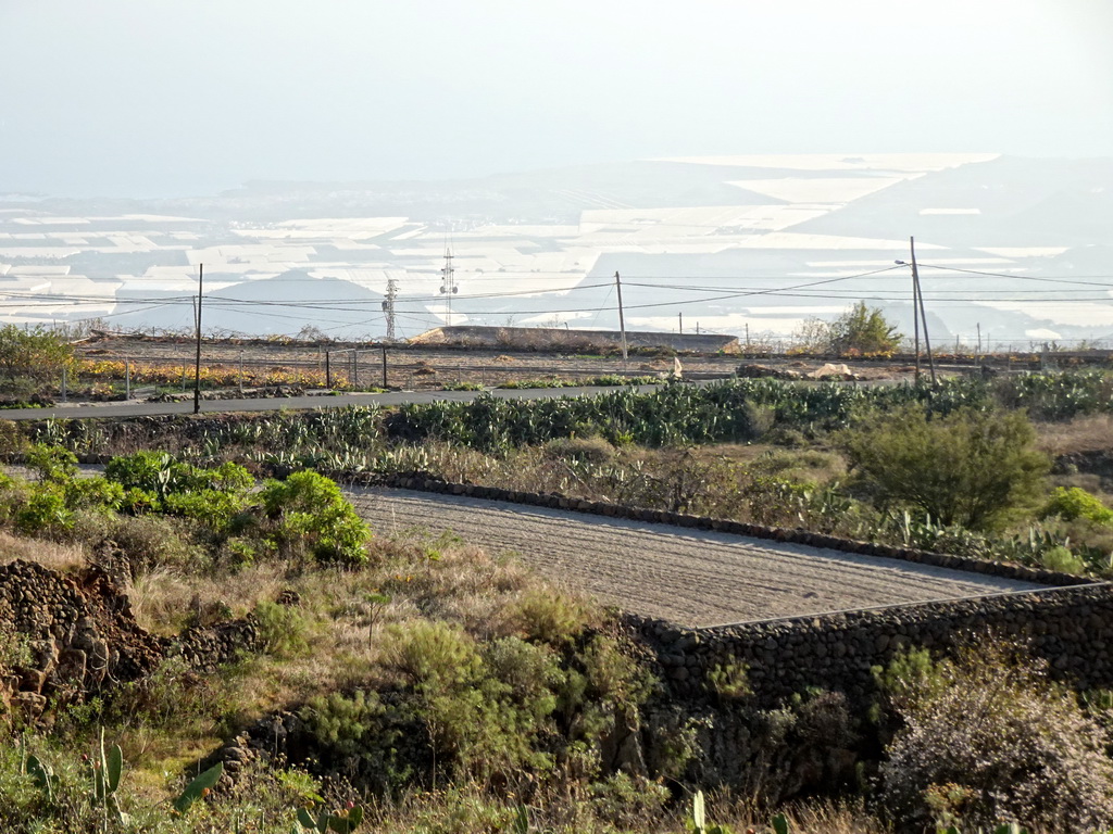 Mountains, hills and greenhouses on the south side of the island, viewed from the TF-51 road at the town of La Escalona