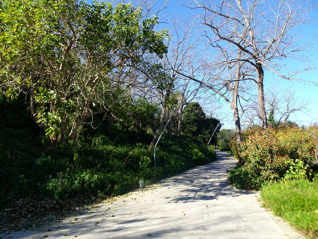 The Carretera Antiga de Montjuïc street at the northeast side of the Montjuïc hill