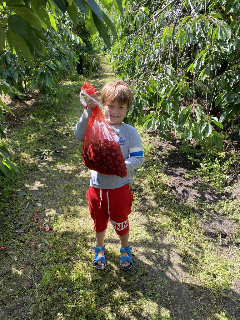 Max`s friend with a bag with cherries at the FrankenFruit fruit farm