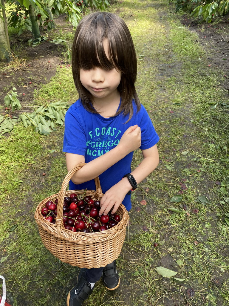 Max with a basket with cherries at the FrankenFruit fruit farm