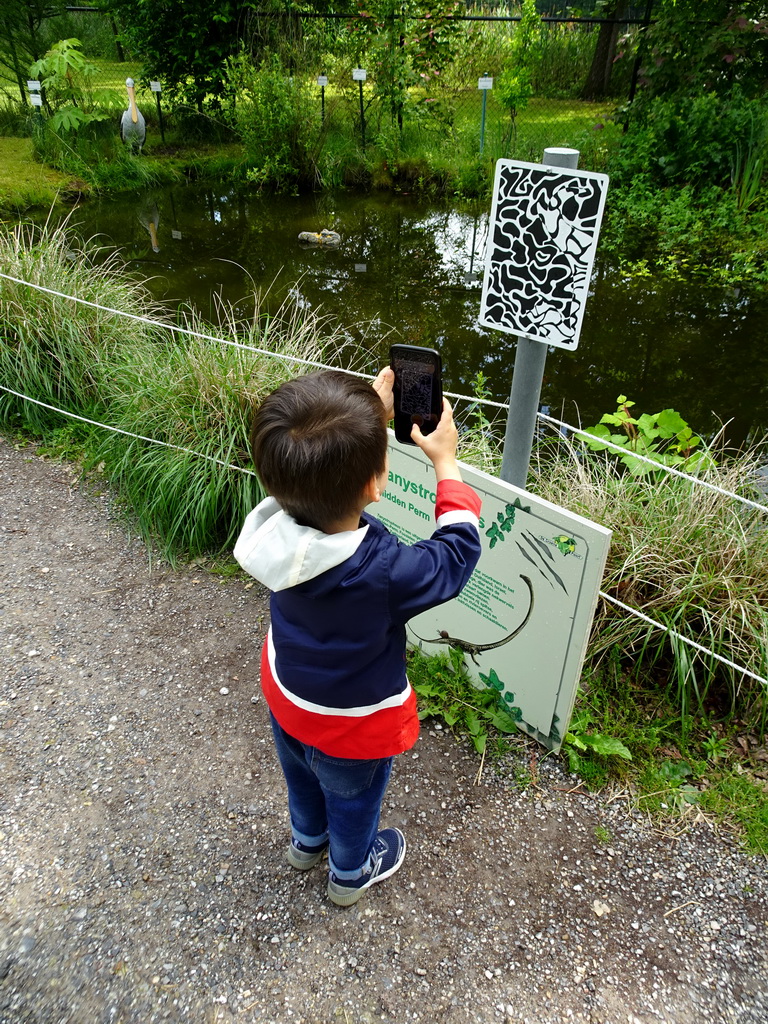 Max playing with the Dino Hunter Boxtel app in the Garden of the Oertijdmuseum