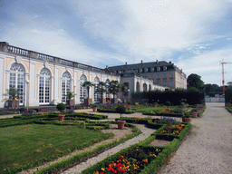 Flowers in the gardens of the Augustusburg Palace