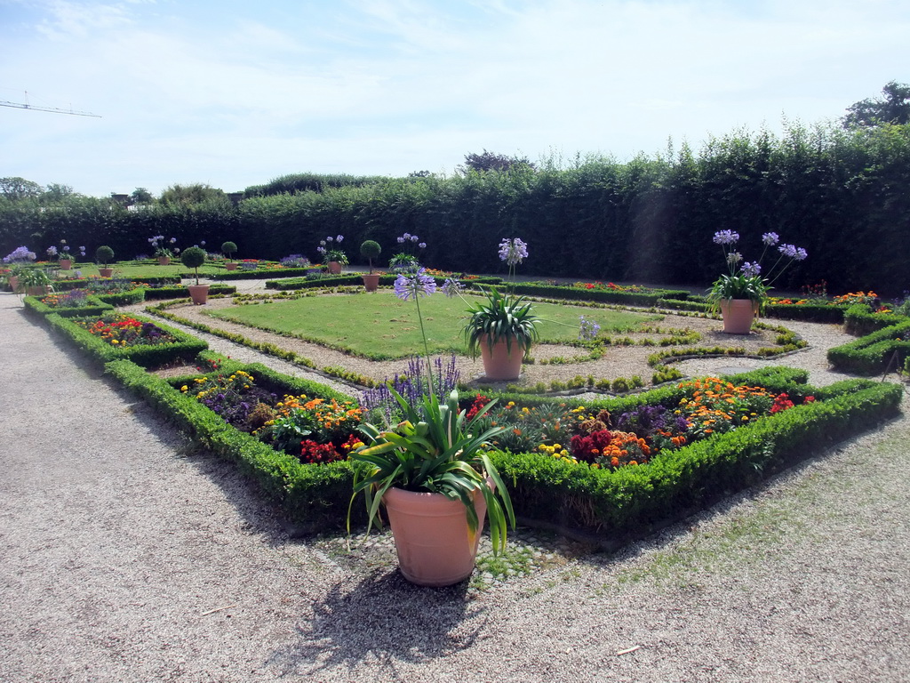 Flowers in the gardens of the Augustusburg Palace