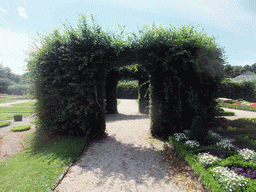 Arch made of plants in the gardens of the Augustusburg Palace