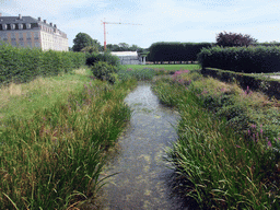 Brook in the gardens of the Augustusburg Palace