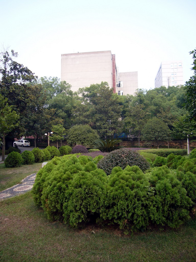 Old buildings of Central South University