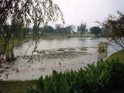 Lake at Juzi Island