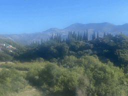 Hills with trees near the the town of Kupari, viewed from the tour bus to Perast on the D8 road