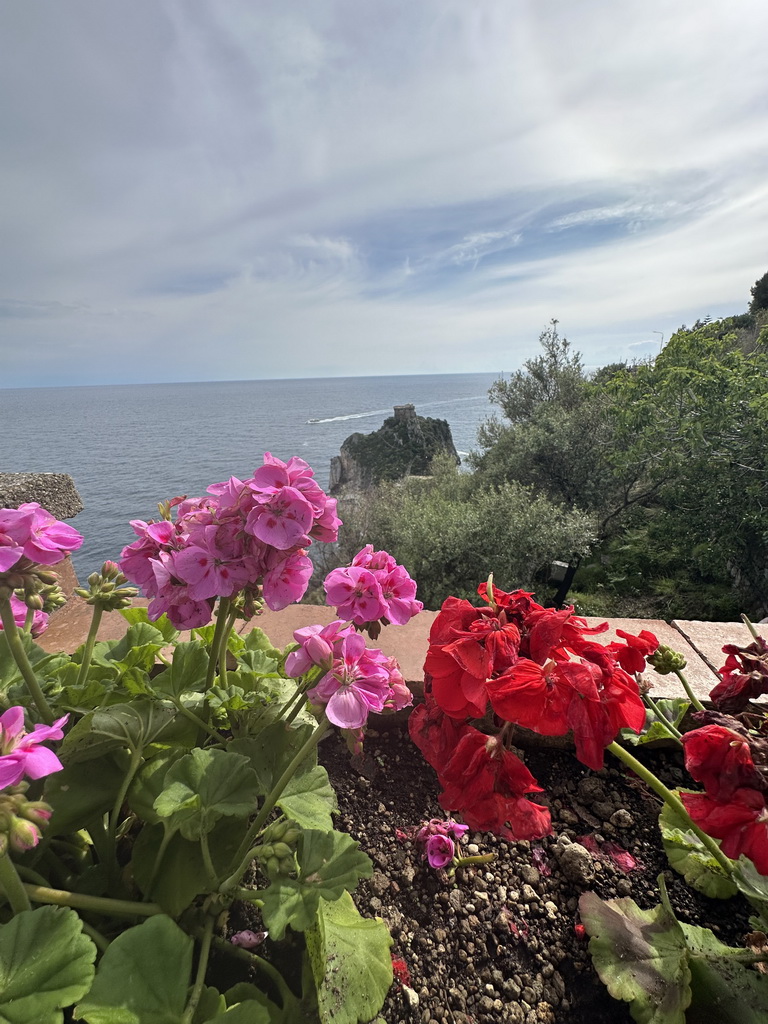 Flowers at the parking lot of Hotel Belvedere, with a view on the Torre Capo di Conca tower and the Tyrrhenian Sea