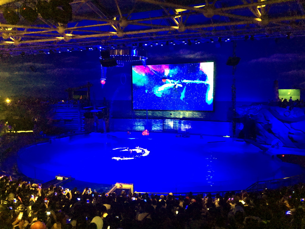 Dolphins and zookeeper in the Main Hall of the Pole Aquarium at the Dalian Laohutan Ocean Park, during the Water Show