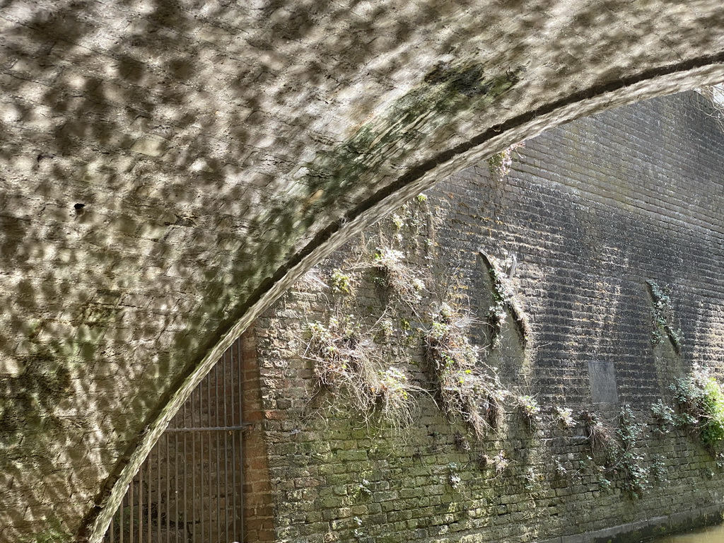 Tunnel under the Kruisbroederstraatje street, viewed from the tour boat on the Binnendieze river