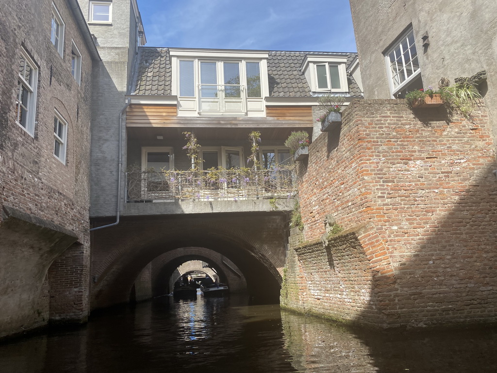 Buildings over the Binnendieze river at the Molenstraat street and a statue of a monkey, viewed from the tour boat