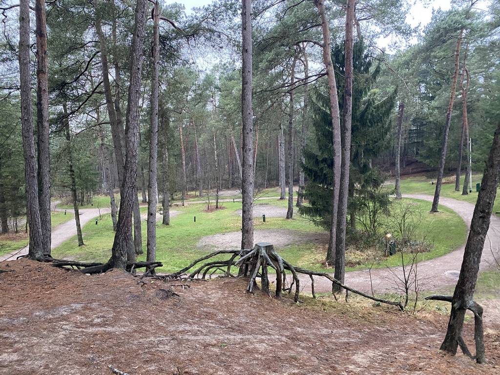 Camping grounds at the Landal Coldenhove holiday park, viewed from a hill