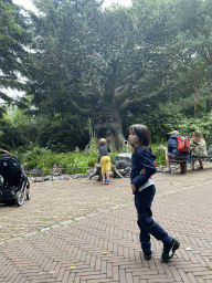Max at the Fairytale Tree attraction at the Fairytale Forest at the Marerijk kingdom
