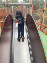 Max on a slide at the Nest! play forest at the Ruigrijk kingdom