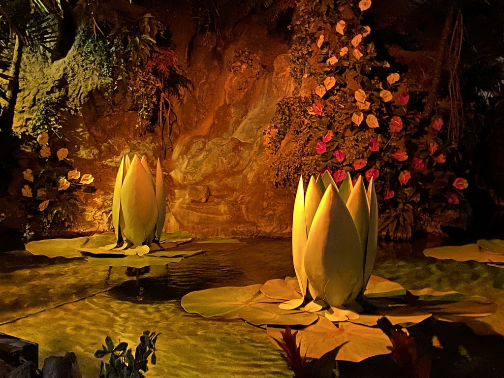 The Water Lilies at the Indian Water Lilies attraction at the Fairytale Forest at the Marerijk kingdom