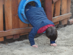 Max going through a hole at the Nest! play forest at the Ruigrijk kingdom