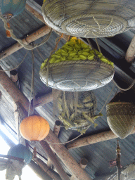 Baskets with fishes and fruits hanging from the ceiling of the Sirocco attraction at the Reizenrijk kingdom