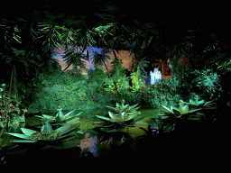 The Witch, the Frogs, the Water Lilies and the Fakir`s Tower at the Indian Water Lilies attraction at the Fairytale Forest at the Marerijk kingdom