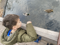 Max with ducks at the Aquanura lake at the Fantasierijk kingdom