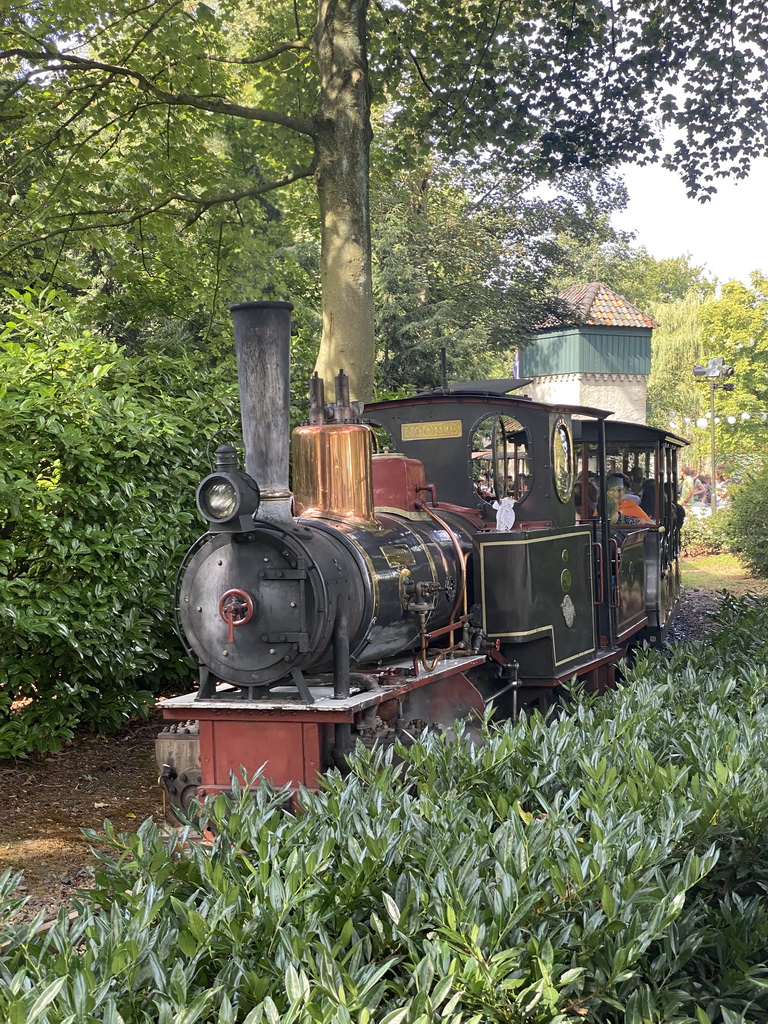 Train riding past the Anton Pieck Plein square at the Marerijk kingdom