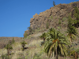 Trees and rocks around the town center, viewed from the Calle Néstor Álamo street