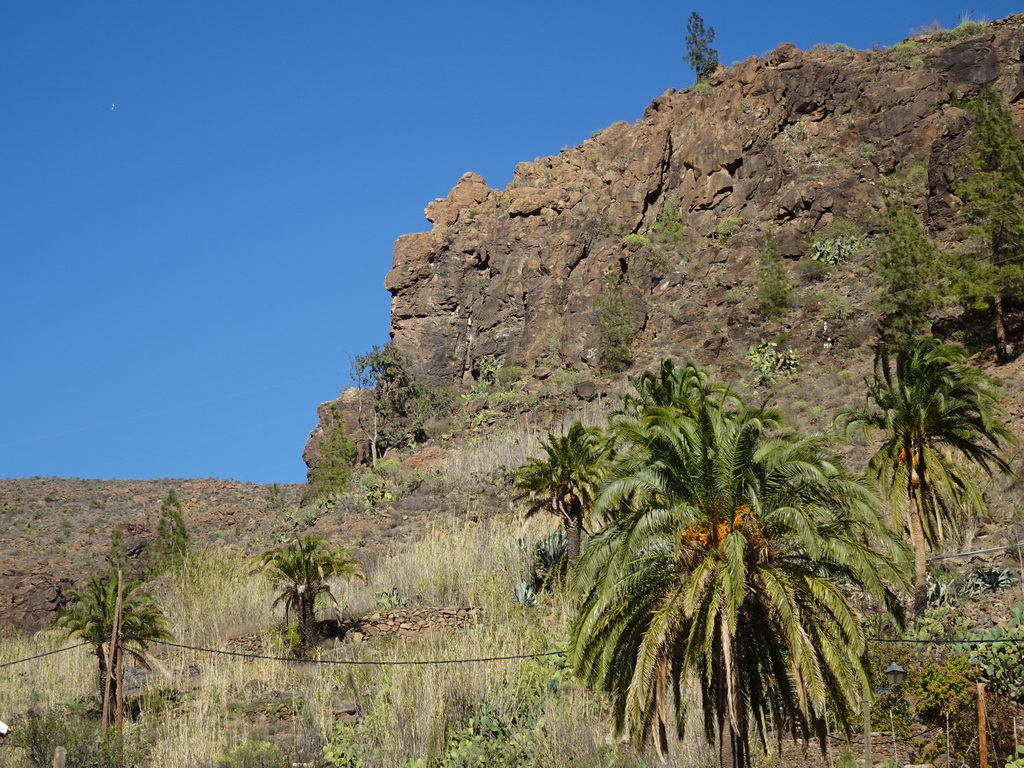 Trees and rocks around the town center, viewed from the Calle Néstor Álamo street