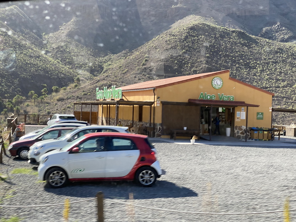 The Aloe Vera Fataga farm, viewed from the tour bus on the GC-60 road