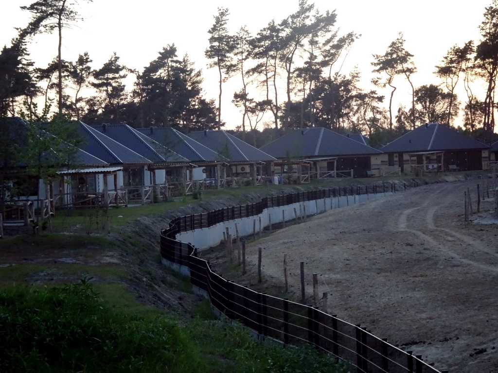 Holiday homes at the Serengeti area at the Safari Resort at the Safaripark Beekse Bergen, viewed from the terrace of Restaurant Moto at Karibu Town, at sunset