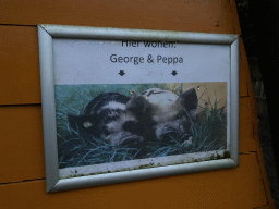 Sign at the petting zoo at the Landal Miggelenberg holiday park