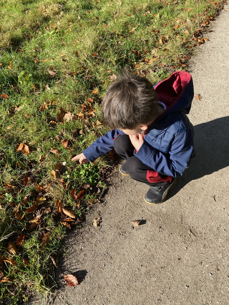 Max with a flower at the Houtkampweg road