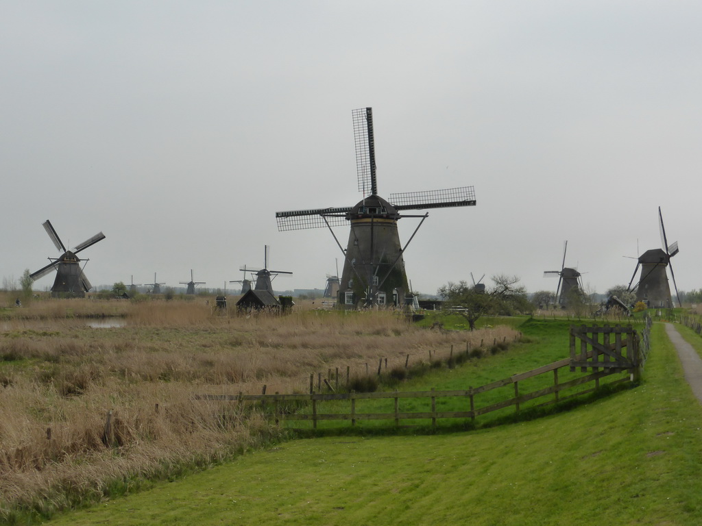 The Nederwaard and Overwaard windmills, viewed from the southeast side of the Museum Windmill Nederwaard