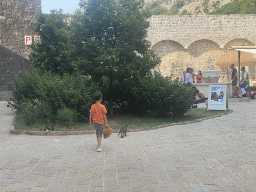 Max with a cat and a fountain at the Cat Park