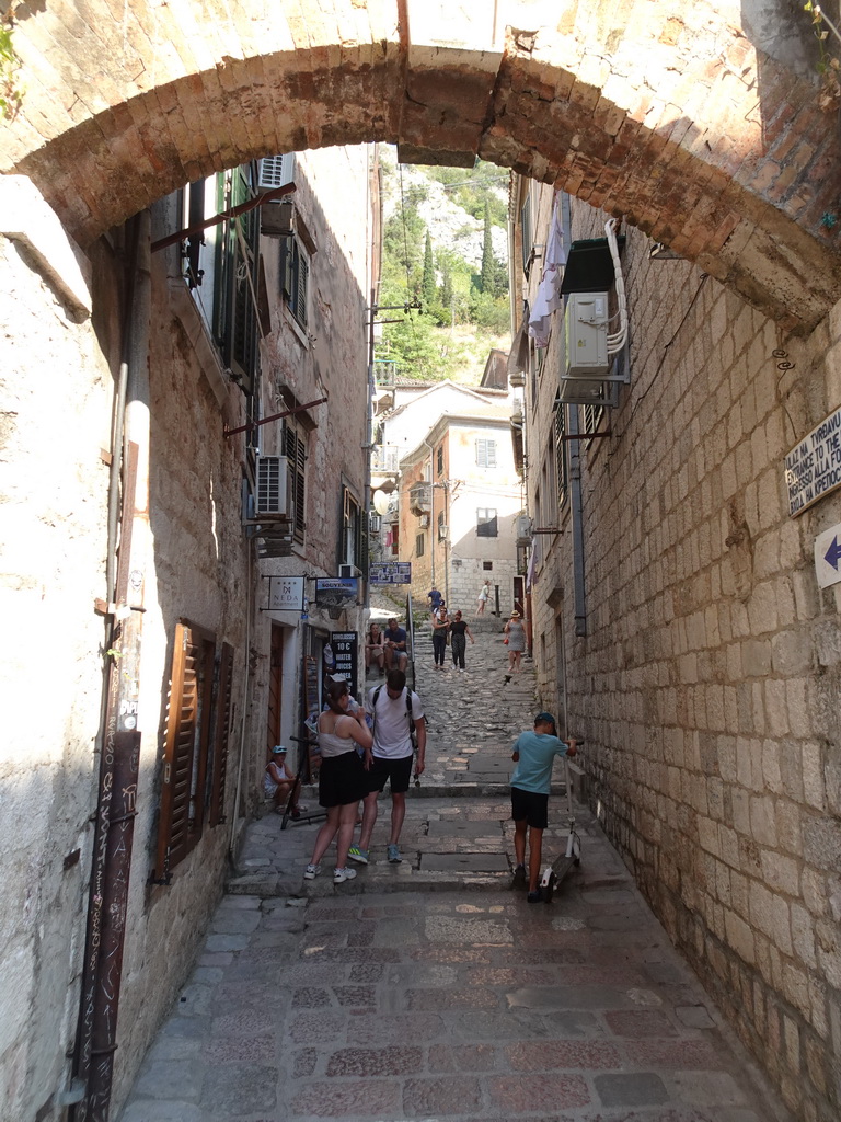 Alley from the Cat Park to the Walls and the Fortress of St. John