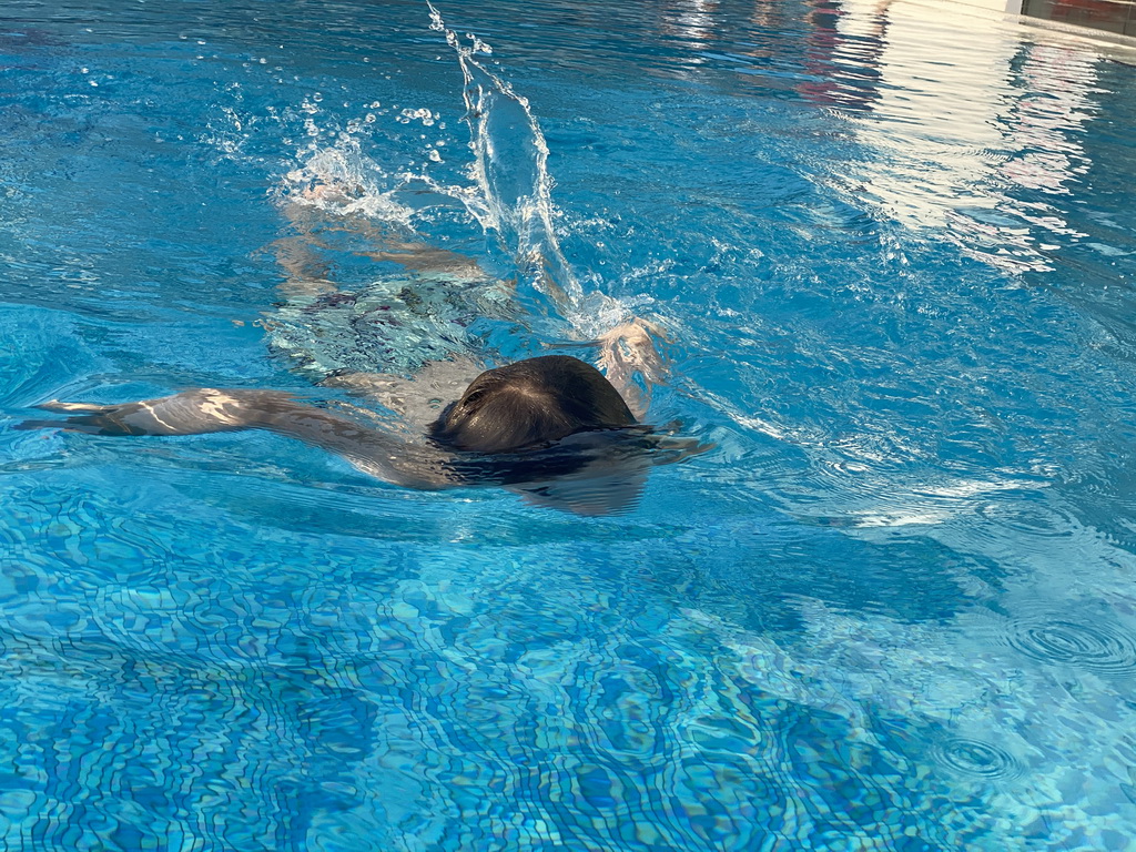 Max at the outdoor swimming pool of the Grand Hotel Park