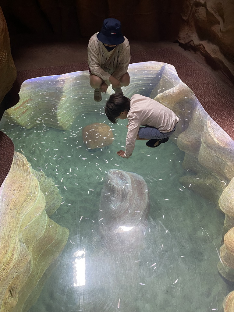 Miaomiao and Max with fishes under a glass floor at the lower floor of the Jungle area at the Poema del Mar Aquarium