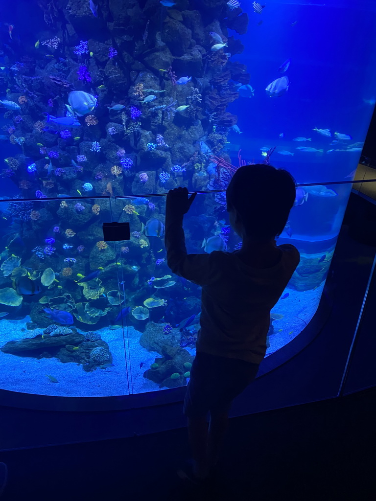 Max with the Atoll aquarium at the middle floor of the Beach Area at the Poema del Mar Aquarium