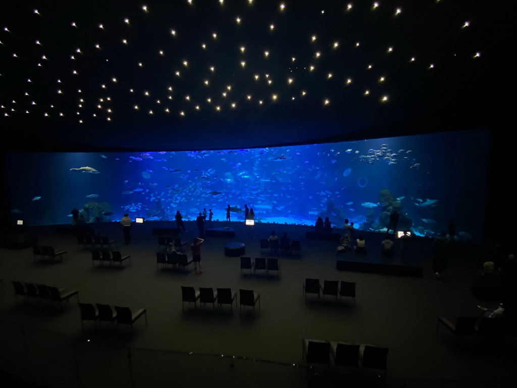 The Large Curved Glass Wall at the lower floor of the Deep Sea Area at the Poema del Mar Aquarium