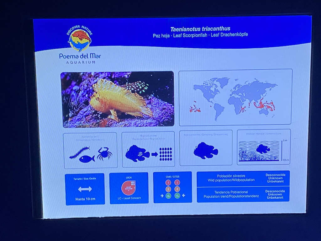 Explanation on the Leaf Scorpionfish at the lower floor of the Deep Sea Area at the Poema del Mar Aquarium