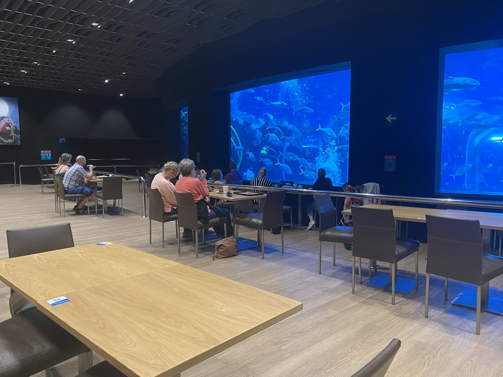 Interior of the Nèstor Restaurant at the upper floor of the Deep Sea Area at the Poema del Mar Aquarium